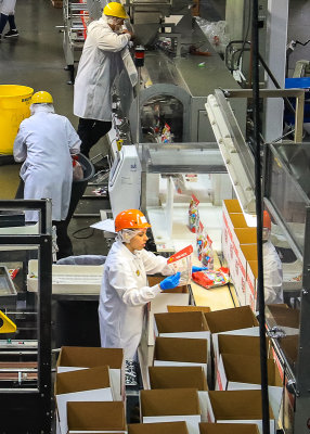 Workers pack Jelly Belly Fun Packs in the Jelly Belly Factory