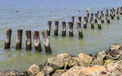 Pylons from the destroyed pier in Suisun Bay in Port Chicago Naval Magazine National Memorial