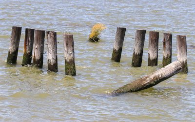 Remains of the 1,200-foot pier in Port Chicago Naval Magazine National Memorial