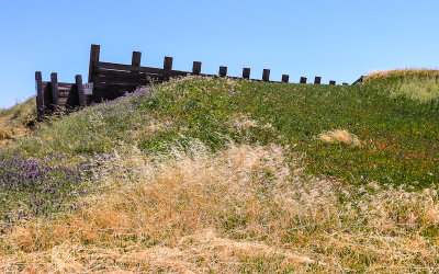 Earthen berm protecting a railroad siding in Port Chicago Naval Magazine National Memorial