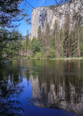 El Capitan reflected in the Merced River in Yosemite National Park