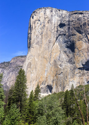 The 3,500 foot granite face of El Capitan (7,569 ft.) in Yosemite National Park