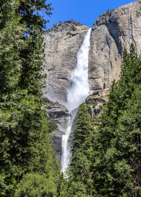 The 2,425 foot Upper and Lower Yosemite Falls, tallest in the United States, in Yosemite National Park