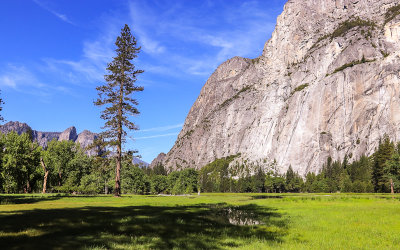 The Yosemite Valley from Cooks Meadow in Yosemite National Park