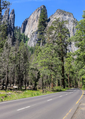 The Cathedral Rocks as seen from the Southside Drive in Yosemite National Park