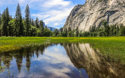 Yosemite Valleys granite walls mirrored in a pool of water on Cooks Meadow in Yosemite National Park