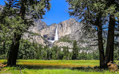Yosemite Falls cascades down into the valley as seen from over the Merced River in Yosemite National Park