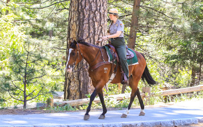 Mounted Park Ranger in Yosemite National Park