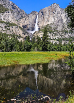 Afternoon reflection of Yosemite Falls in a Cooks Meadow pond in Yosemite National Park