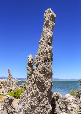 Tall Tufa formations on the shore of Mono Lake