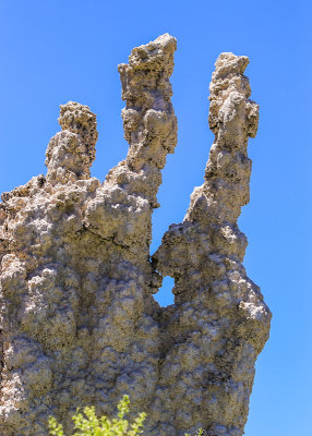 The top of a Tufa formation at Mono Lake
