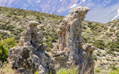 Close up of a Tufa formation at Mono Lake