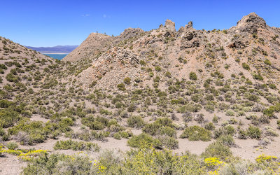 Panum volcanic crater in the Mono Basin to the south of Mono Lake