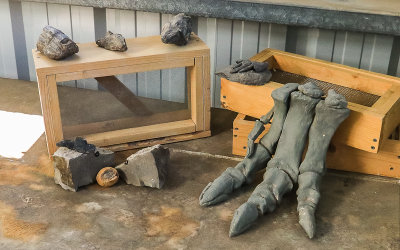 Allosaurus foot cast on display in Jurassic National Monument