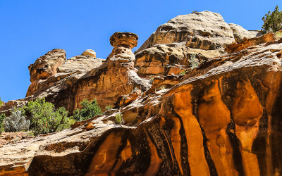 Rock formations above the Grand Wash Trail in Capitol Reef National Park