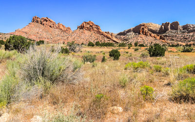 View of Muley Twist Canyon to the west of the Burr Trail Switchbacks in Capitol Reef National Park