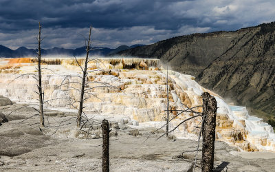 View of the Main Terrace at Mammoth Hot Springs in Yellowstone National Park 