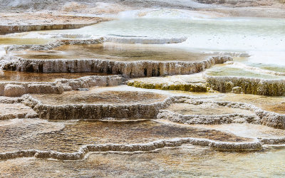 Trail Spring pools and terraces at Mammoth Hot Springs in Yellowstone National Park