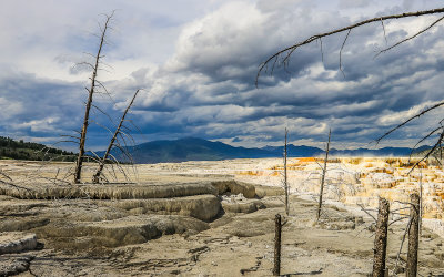 Contrast between the wet and dry areas of the Upper Terrace at Mammoth Hot Springs in Yellowstone National Park