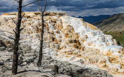 Main Terrace below Canary Spring at Mammoth Hot Springs in Yellowstone National Park