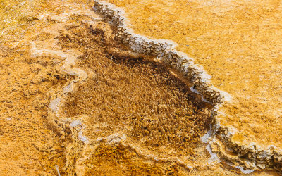 Formations in a Dryad Spring pool at Mammoth Hot Springs in Yellowstone National Park