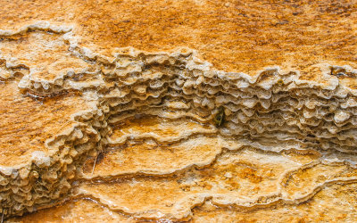 Close up of deposits in a Dryad Spring pool at Mammoth Hot Springs in Yellowstone National Park