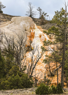 White Elephant Block Terrace along the Upper Terrace Drive at Mammoth Hot Springs in Yellowstone National Park