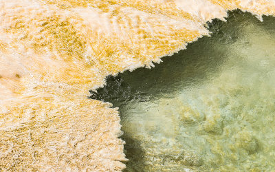 Delicate formation in a pool at Mammoth Hot Springs in Yellowstone National Park
