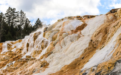 View of Canary Spring from the Lower Terrace at Mammoth Hot Springs in Yellowstone National Park