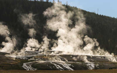 A section of the Upper Geyser Basin in early morning light in Yellowstone National Park