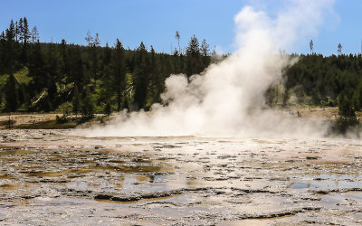Grand Geyser steams in the Upper Geyser Basin in Yellowstone National Park