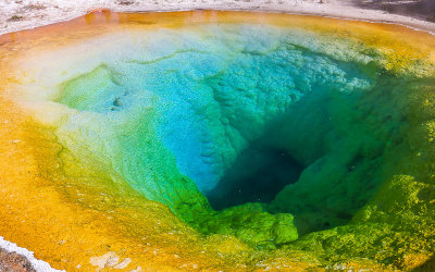 Morning Glory Pool in the Upper Geyser Basin in Yellowstone National Park