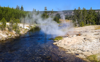 Geysers let off steam along the banks of the Firehole River in Yellowstone National Park