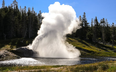 Beginning of the eruption of the Riverside Geyser in the Upper Geyser Basin in Yellowstone National Park