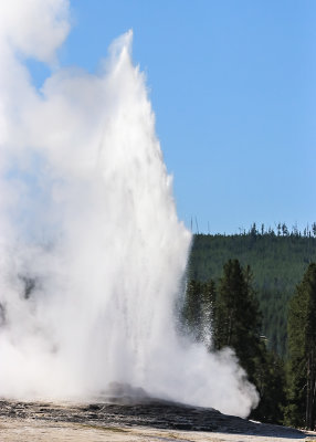 Old Faithful erupting in the Upper Geyser Basin in Yellowstone National Park