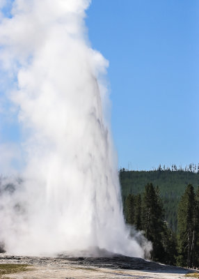 Eruption of Old Faithful in the Upper Geyser Basin in Yellowstone National Park