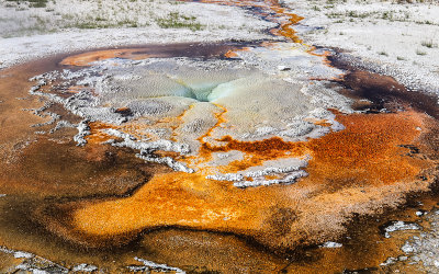 Tardy Geyser in the Upper Geyser Basin in Yellowstone National Park