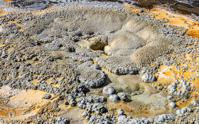 Anemone Geyser in the Upper Geyser Basin in Yellowstone National Park