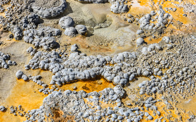 Close up of Anemone Geyser formations in the Upper Geyser Basin in Yellowstone National Park
