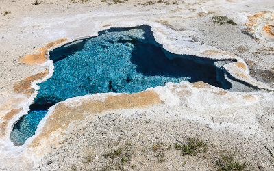 Blue Star Spring in the Upper Geyser Basin in Yellowstone National Park