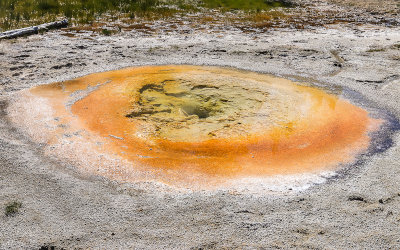 Economic Geyser in the Upper Geyser Basin in Yellowstone National Park