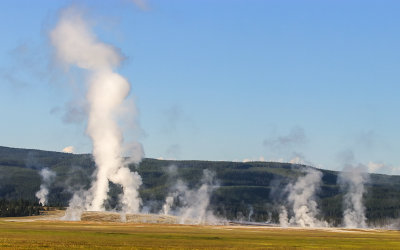 Grand Geyser steam in the early morning sun in the Upper Geyser Basin in Yellowstone National Park