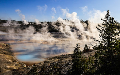 Yellowstone National Park  Norris Geyser Basin  Wyoming (2019)