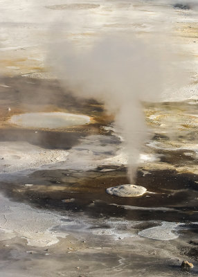 Vents and pools on the floor of the Porcelain Basin in the Norris Geyser Basin in Yellowstone National Park