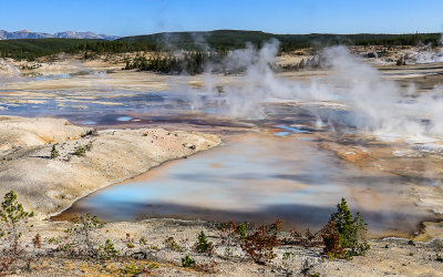 The Porcelain Basin in the Norris Geyser Basin in Yellowstone National Park