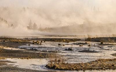 Steam fills the morning air in the Norris Geyser Basin in Yellowstone National Park