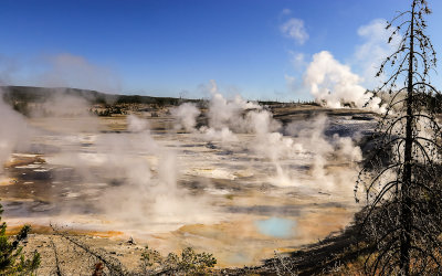 Steam clouds fill the air over the Porcelain Basin in the Norris Geyser Basin in Yellowstone National Park