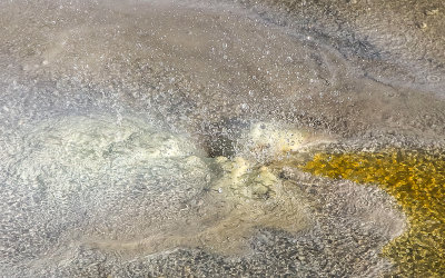 A Porcelain Basin vent sprays water in the Norris Geyser Basin in Yellowstone National Park