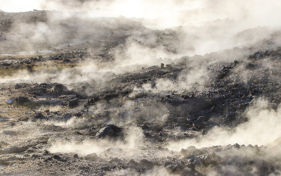Steam rises from the earth in the Norris Geyser Basin in Yellowstone National Park