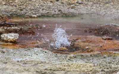 A vent in the Porcelain Basin emits water in the Norris Geyser Basin in Yellowstone National Park